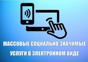 Информационное сопровождение возможности получения массовых социально значимых услуг с помощью единого портала государственных и муниципальных услуг Информационное сопровождение возможности получения массовых социально значимых услуг с помощью единого портала государственных и муниципальных услуг.